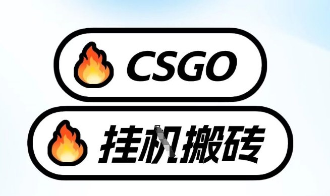 真全网独家CSGO挂G,最新玩法,单日捡漏1K+,不用电脑,不用打游戏【揭秘】-Scorpio丨网创