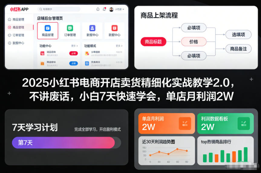2025小红书电商开店卖货精细化实战教学2.0，不讲废话，小白7天快速学会，单店月利润2W-Scorpio丨网创