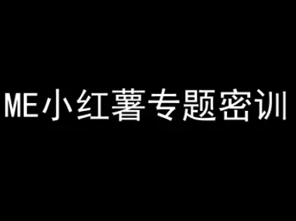 ME小红薯专题密训-小红书电商教程-Scorpio丨网创