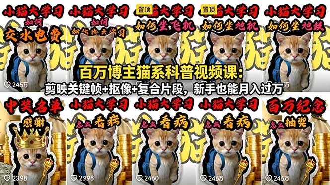百万博主猫系科普视频课：剪映关键帧+抠像+复合片段，新手也能月入过万-Scorpio丨网创