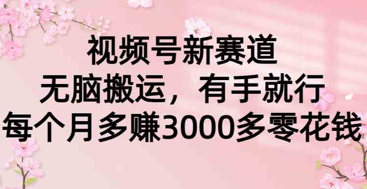 （9277期）视频号新赛道，无脑搬运，有手就行，每个月多赚3000多零花钱-Scorpio丨网创