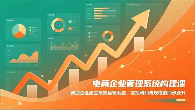 (16643期)电商企业管理系统构建课:帮助企业建立高效运营系统,实现利润与规模的同步跃升-Scorpio丨网创