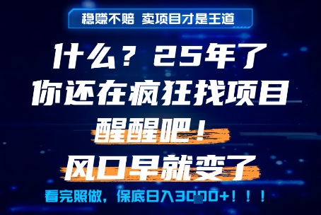 什么？25年你还在疯狂找项目做，醒醒吧，看完这些你全都懂了！【揭秘】-Scorpio丨网创