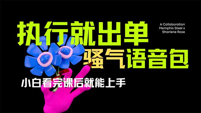 （14170期）爆火全网的开车导航骚气语音包,只要执行就出单，小白看完课程就能实操…-Scorpio丨网创