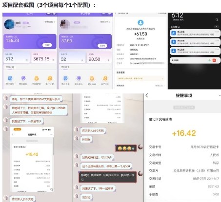 当天能收益的3个小项目拆解_包括平台+操作流程-Scorpio丨网创