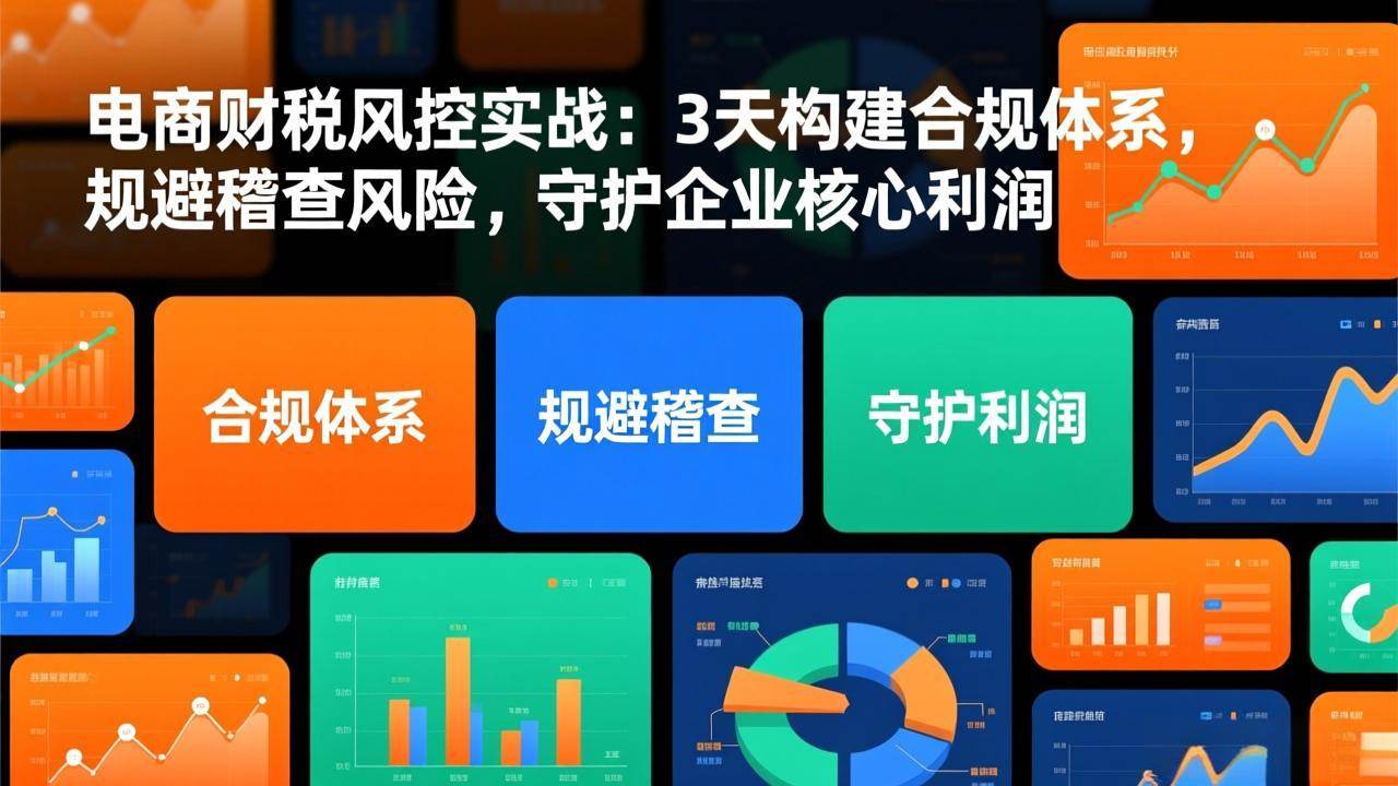 (17197期)电商财税风控实战:3天构建合规体系,规避稽查风险,守护企业核心利润-Scorpio丨网创