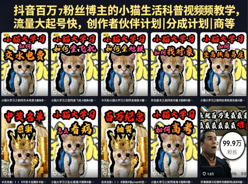 抖音百万粉丝博主的小猫生活科普视频教学，流量大起号快，创作者伙伴计划|分成计划|商单|收徒等-Scorpio丨网创