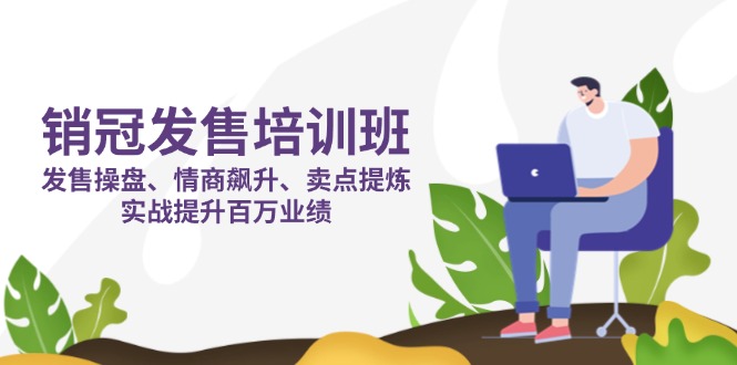 （14203期）销冠 发售培训班：发售 操盘+情商 飙升+卖点 提炼，实战提升百万业绩-Scorpio丨网创