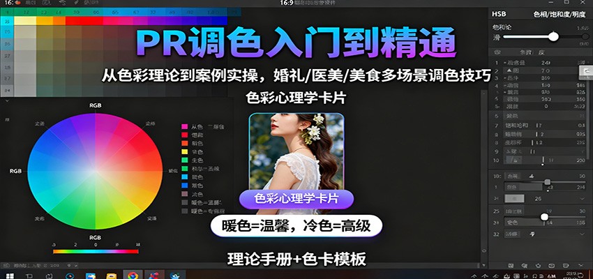 PR调色入门到精通：从色彩理论到案例实操，婚礼/医美/美食多场景调色技巧-Scorpio丨网创