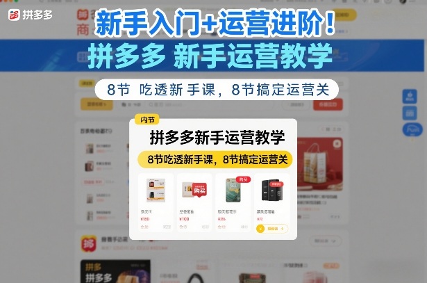 新手入门+运营进阶！拼多多新手运营教学，8节吃透新手课，8节搞定运营关-Scorpio丨网创