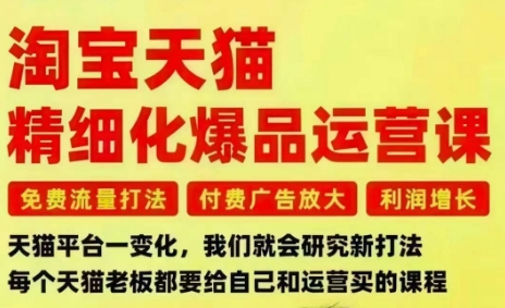 淘宝天猫精细化爆品运营课，免费流量打法-付费广告放大-利润增长-三大核心痛点，一次全部解决-Scorpio丨网创