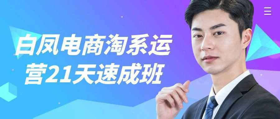 白凤电商淘系运营21天速成班-Scorpio丨网创