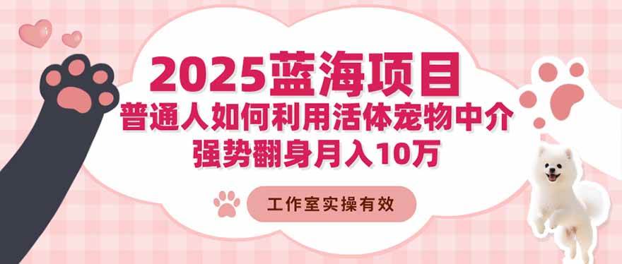 (16489期)2025蓝海项目:普通人如何利用活体宠物中介,强势翻身月入10万-Scorpio丨网创