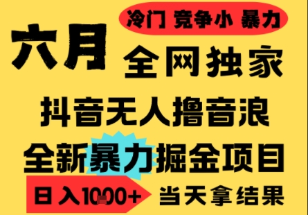 25年6月高爆抖音无人直播最新撸音浪掘金项目，小白可做，无脑日入1k+，门槛低可批量矩阵【揭秘】-Scorpio丨网创