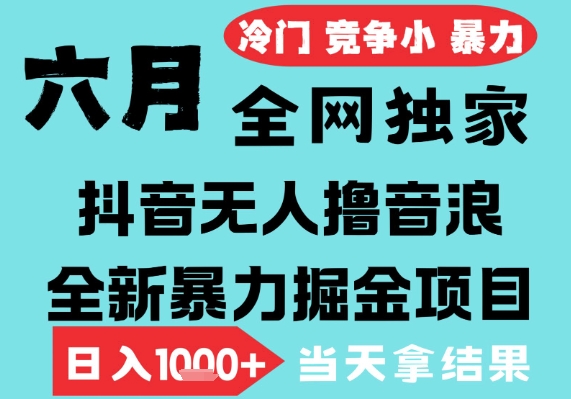 2025年6月高爆抖音无人直播最新撸音浪掘金项目，无脑日入1k+，低门槛小白可做，可矩阵放大【揭秘】-Scorpio丨网创