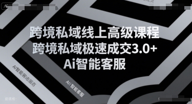 跨境私域线上高级课程，跨境私域极速成交3.0+Ai智能客服-Scorpio丨网创