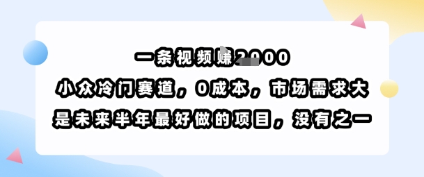 一条视频挣1k，小众冷门赛道，0成本，市场需求大，是未来半年最好做的项目，没有之一-Scorpio丨网创