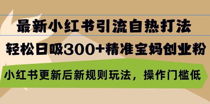 （13145期）最新小红书引流自热打法，轻松日吸300+精准宝妈创业粉，小红书更新后新…-Scorpio丨网创