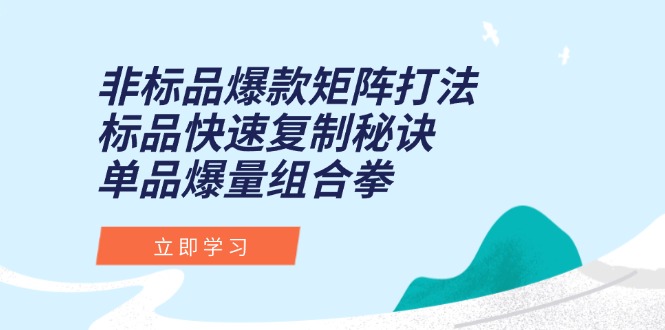 （15068期）非标品爆款矩阵打法，标品快速复制秘诀，单品爆量组合拳-Scorpio丨网创