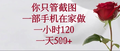 你只管截图,一部手机在家操作,一小时120.一天5张【揭秘】-Scorpio丨网创