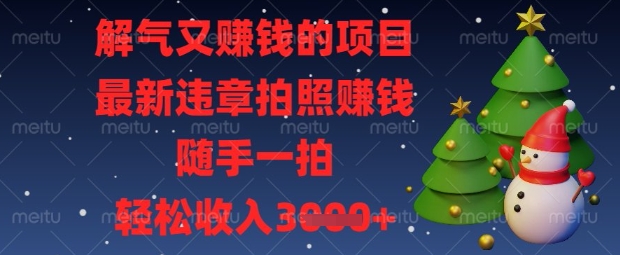 解气又挣钱的项目，最新违章拍照挣钱，随手一拍，轻松收入数张【揭秘】-Scorpio丨网创